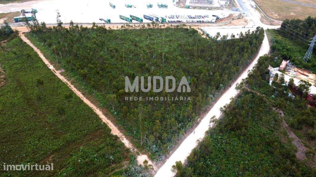 OPORTUNIDADE ÚNICA – TERRENO INDUSTRIAL PREMIUM EM ALBERGARIA-A-VELHA - Grande imagem: 3/7