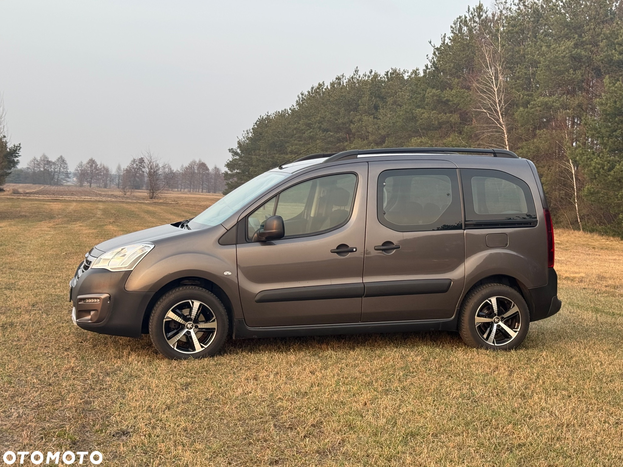 Peugeot Partner - 2