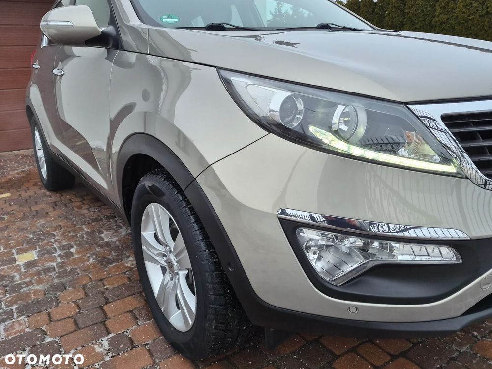 Kia Sportage - 31