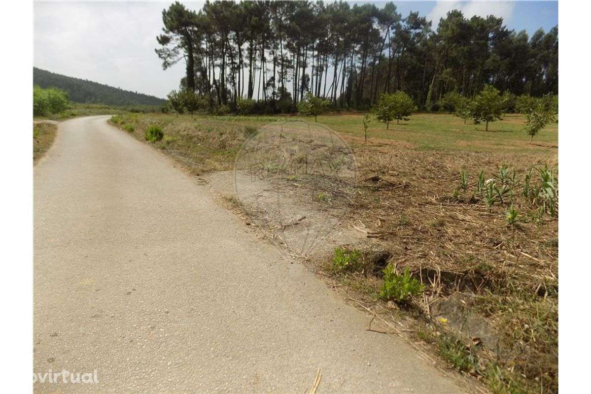 Terreno  para venda - Grande imagem: 2/3