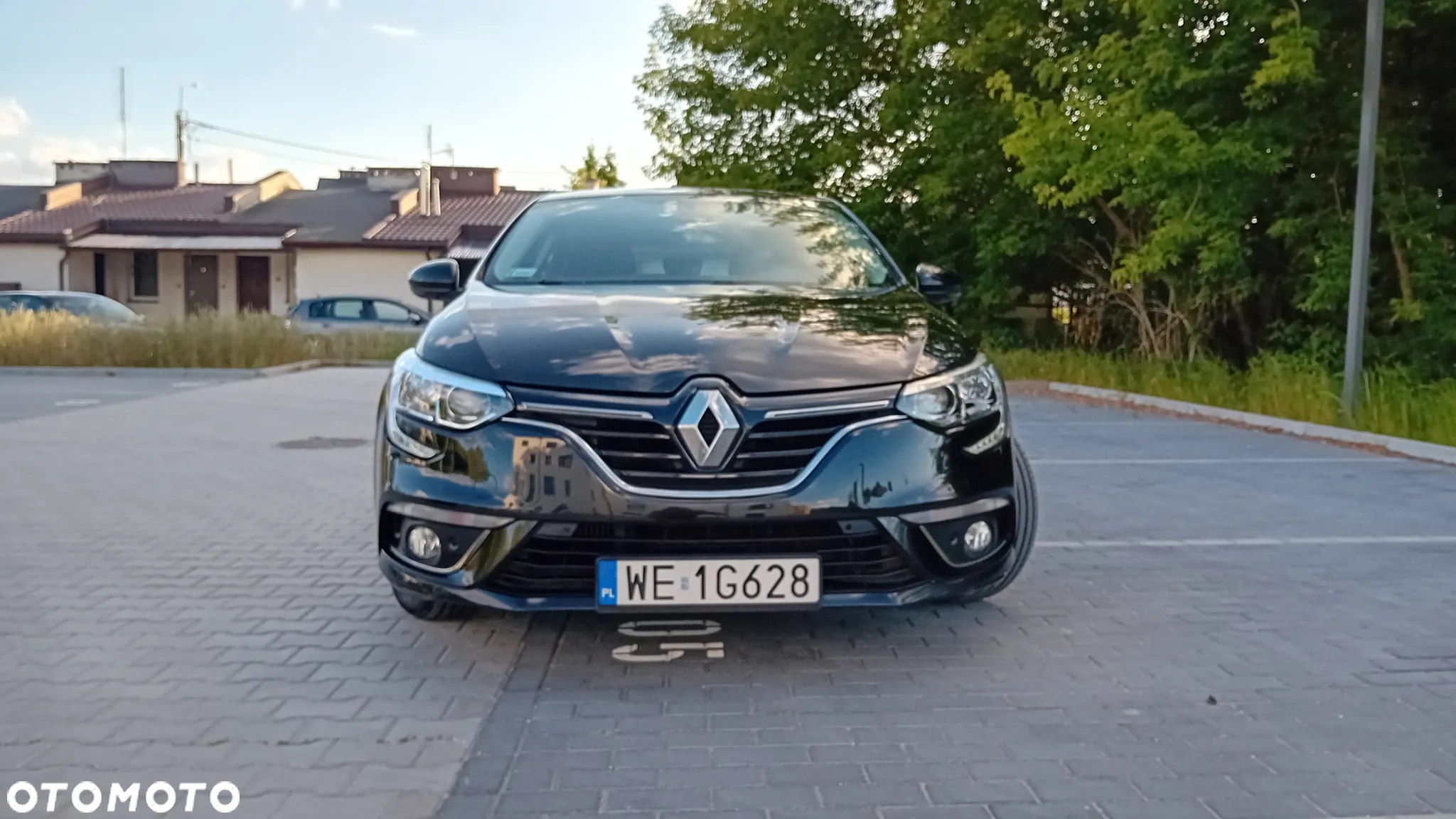 Renault Megane - 29
