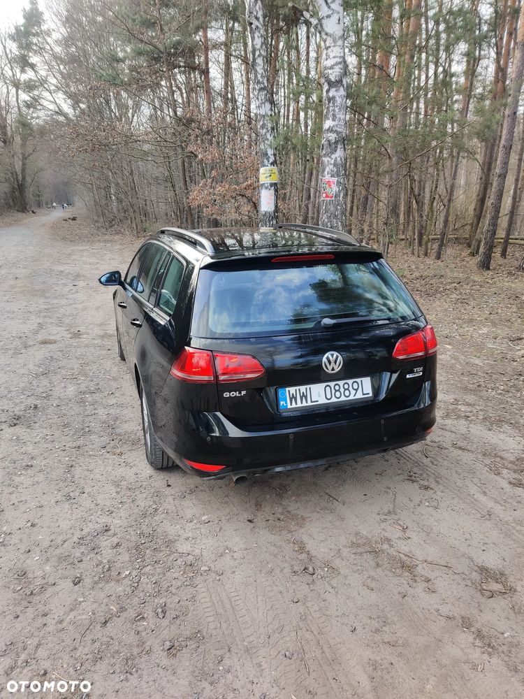 Volkswagen Golf 1.6 TDI DPF BlueMotion - 4