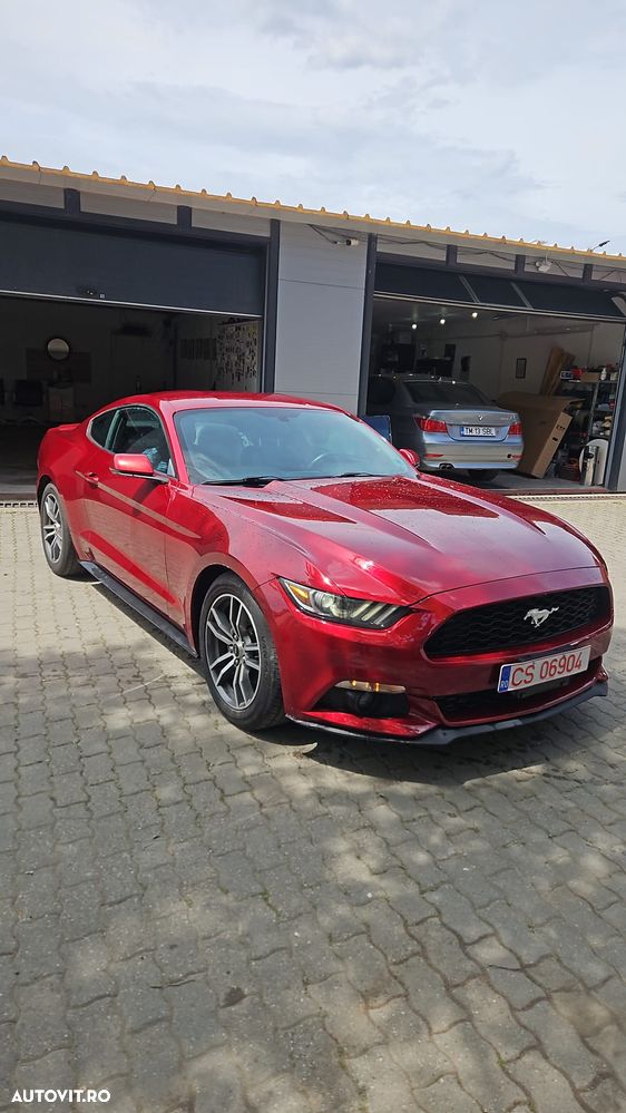 Ford Mustang - 1