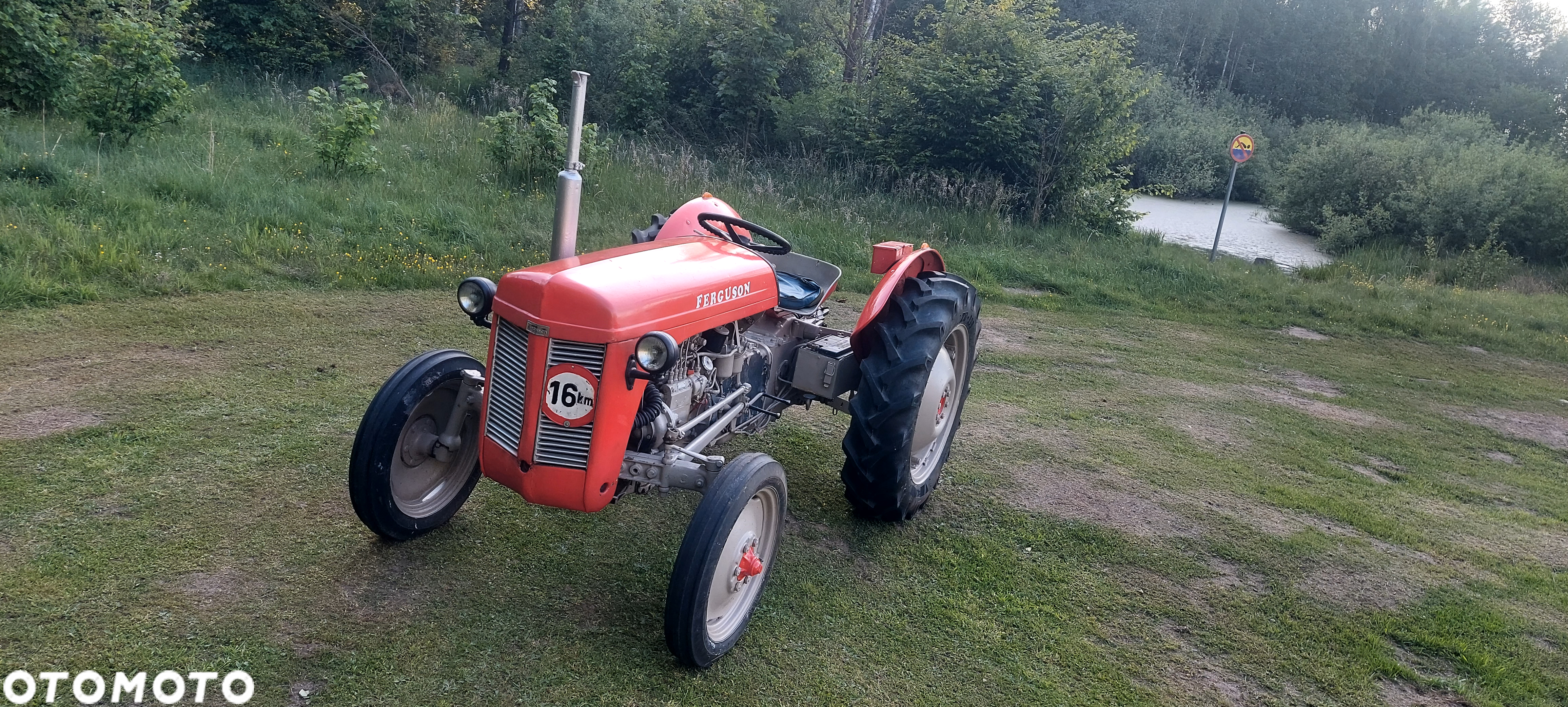 Massey Ferguson TEF-20 - 7