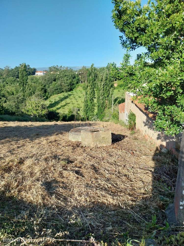 Terreno com Viabilidade de Construção nas Fragosas - Grande imagem: 3/7