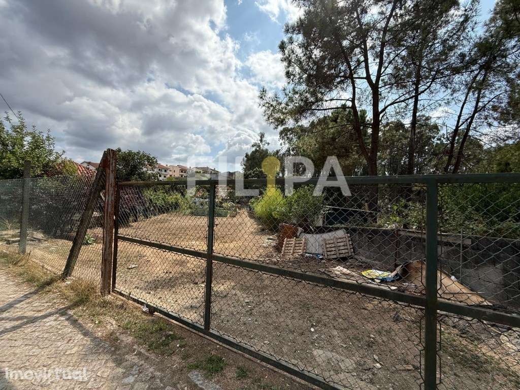 Terreno rústico em Campo - Valongo - Grande imagem: 5/7