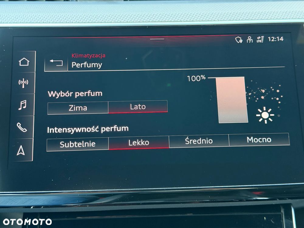 Audi e-tron Sportback S quattro - 30