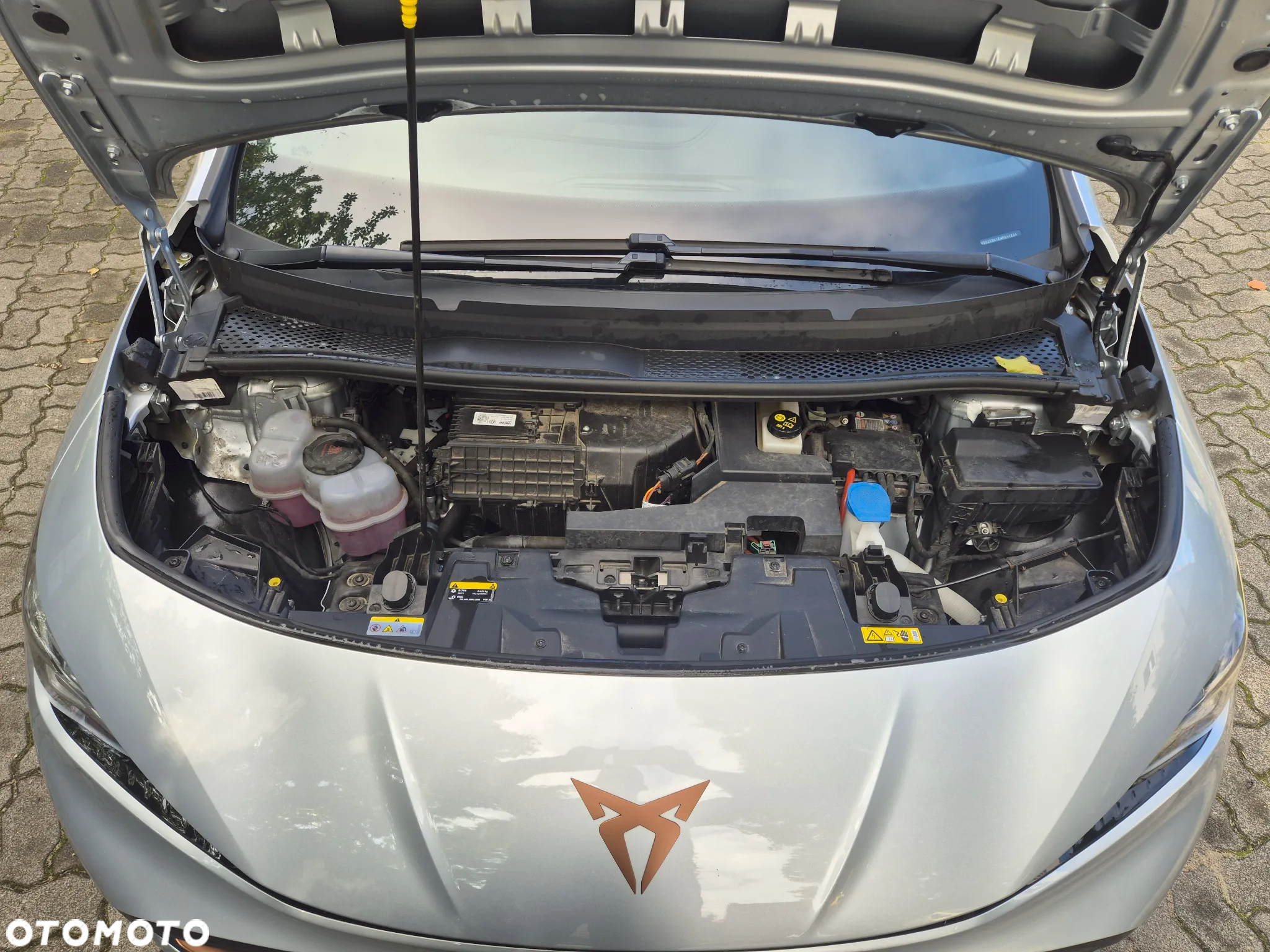 Cupra Born 58kWh - 24