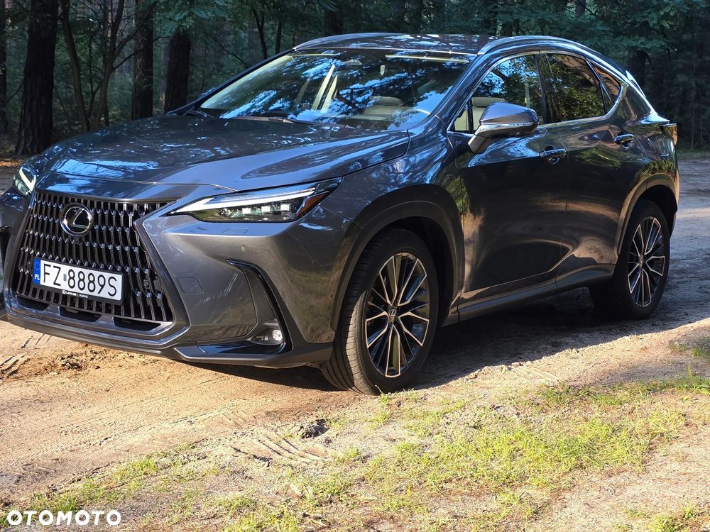 Lexus NX 350h Omotenashi AWD - 1