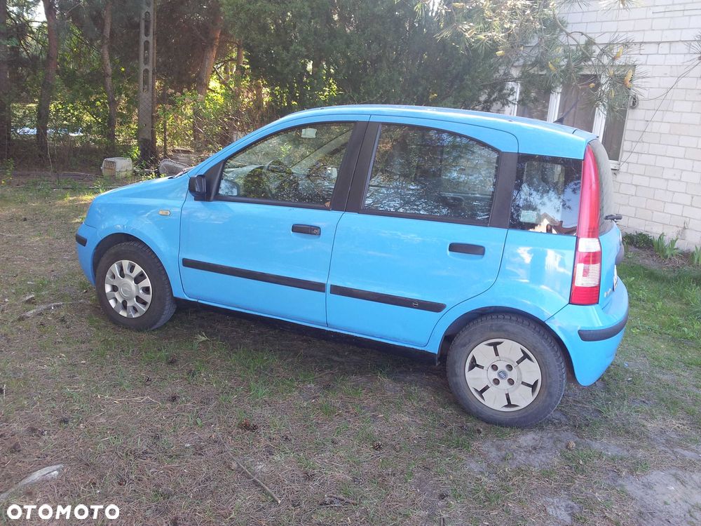 Fiat Panda - 2