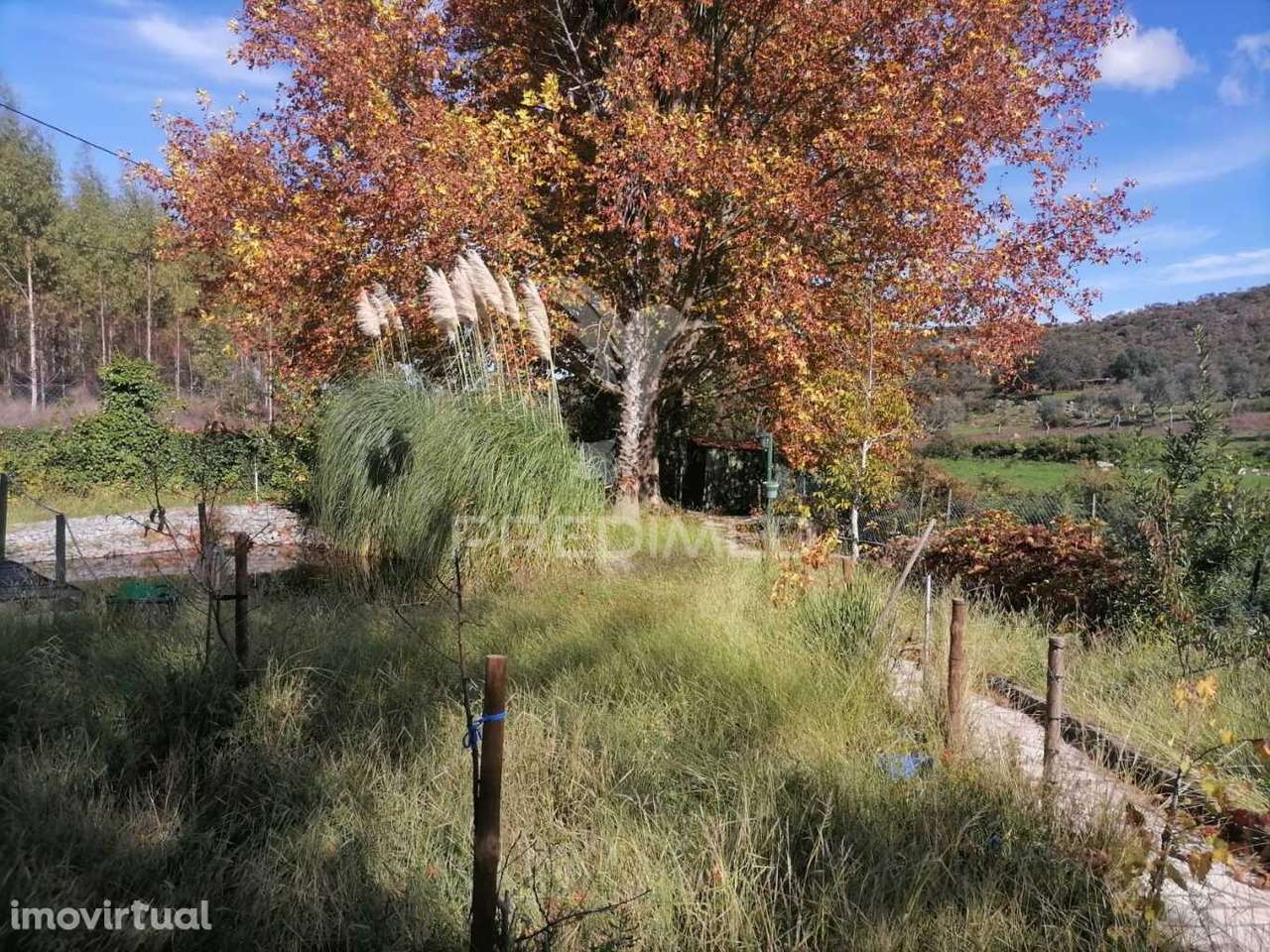 Terreno Agrícola - Grande imagem: 5/10