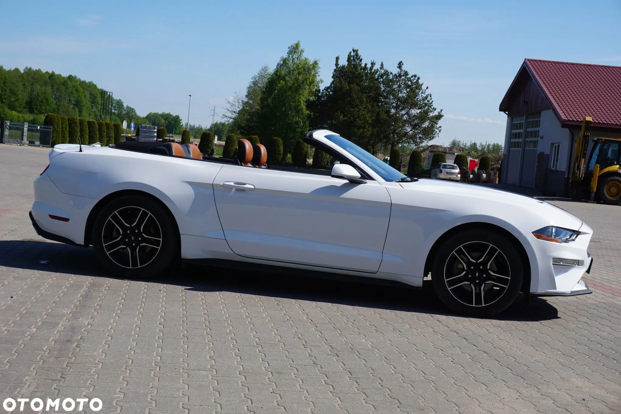 Ford Mustang Cabrio 2.3 Eco Boost - 15