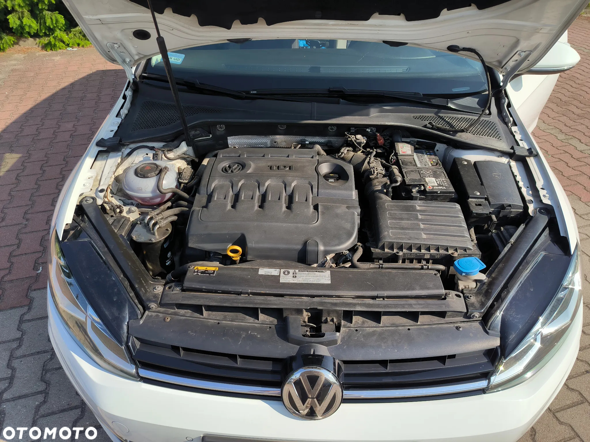 Volkswagen Golf VII 1.6 TDI BMT Highline - 10