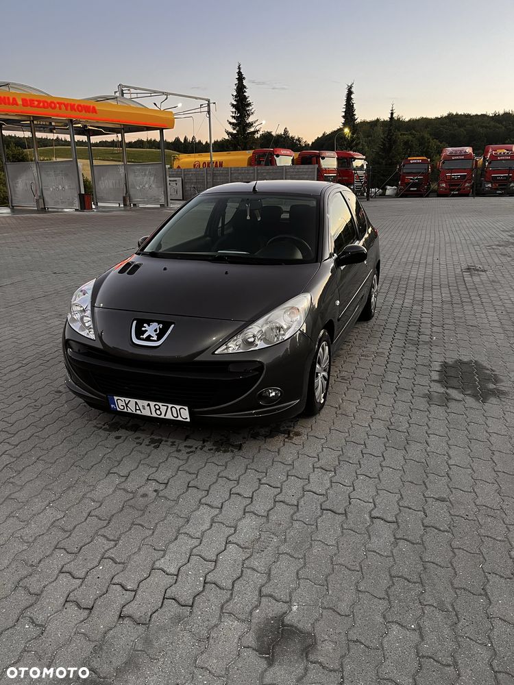 Peugeot 206 plus - 1