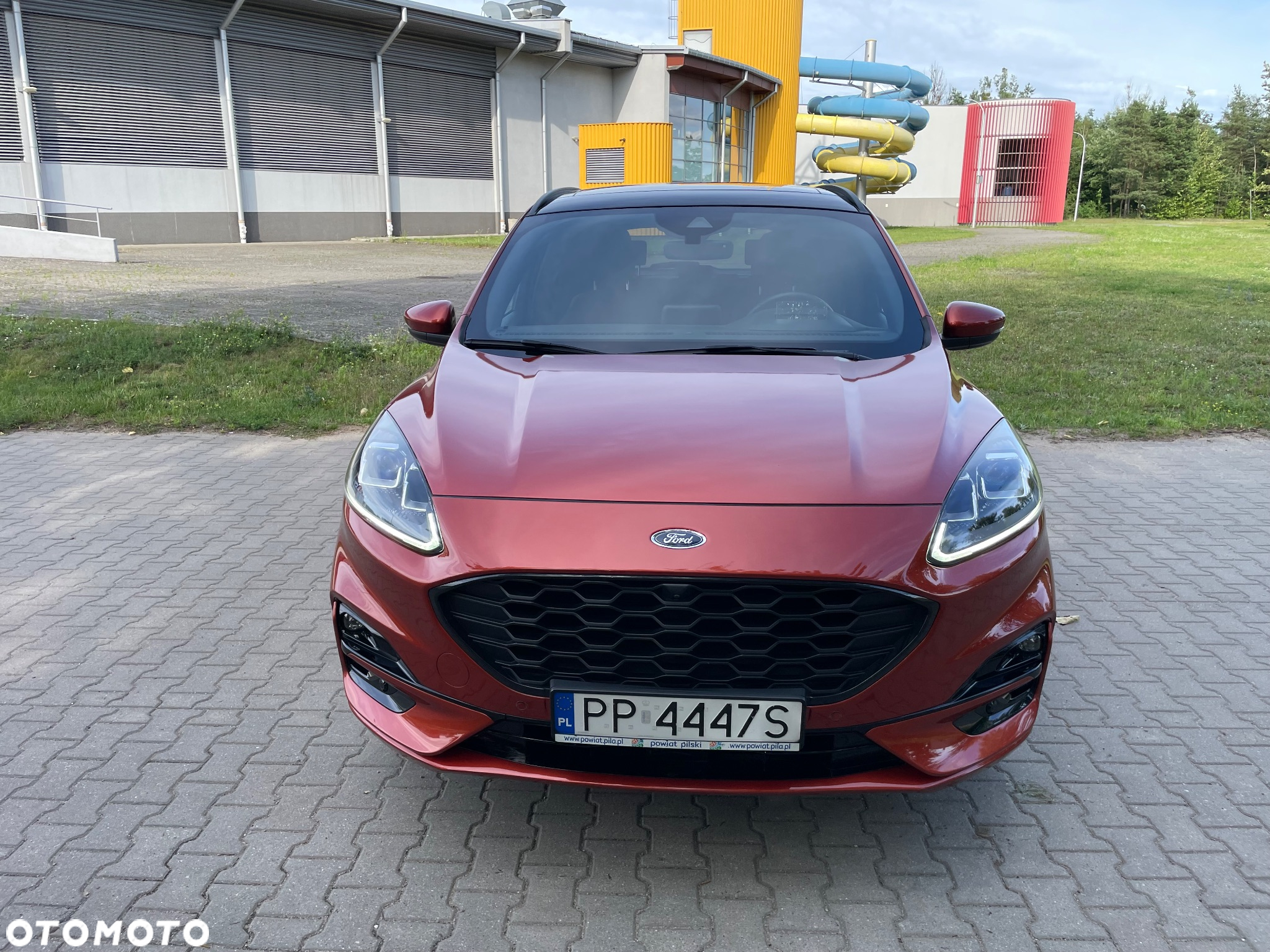 Ford Kuga 2.0 EcoBlue 4x4 ST-LINE - 12