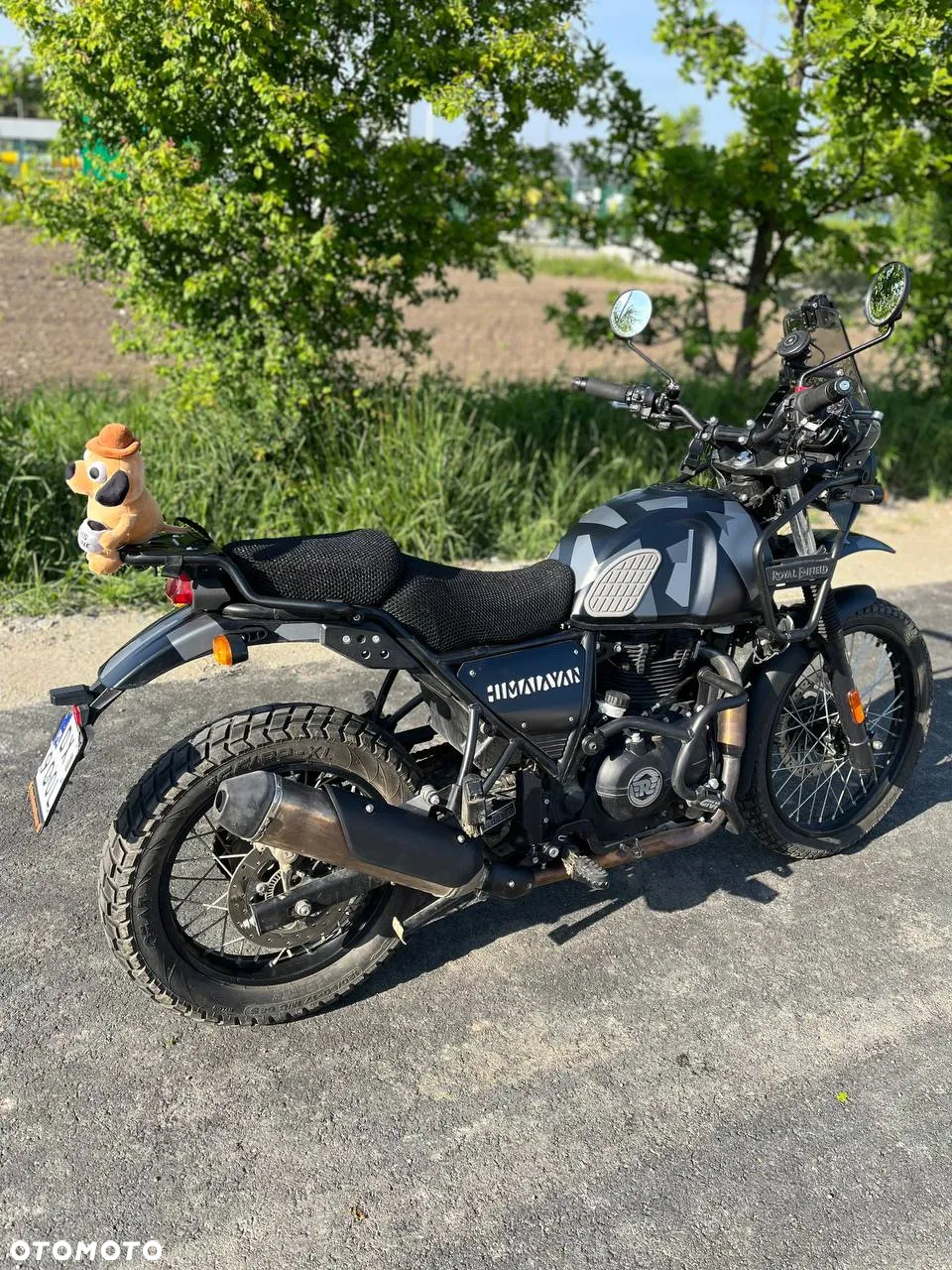 Royal Enfield Himalayan - 2