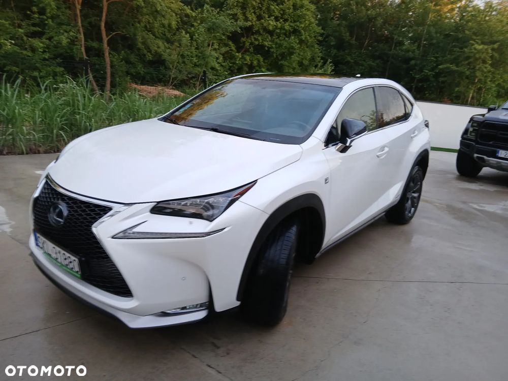 Lexus NX 300h F Sport AWD - 7