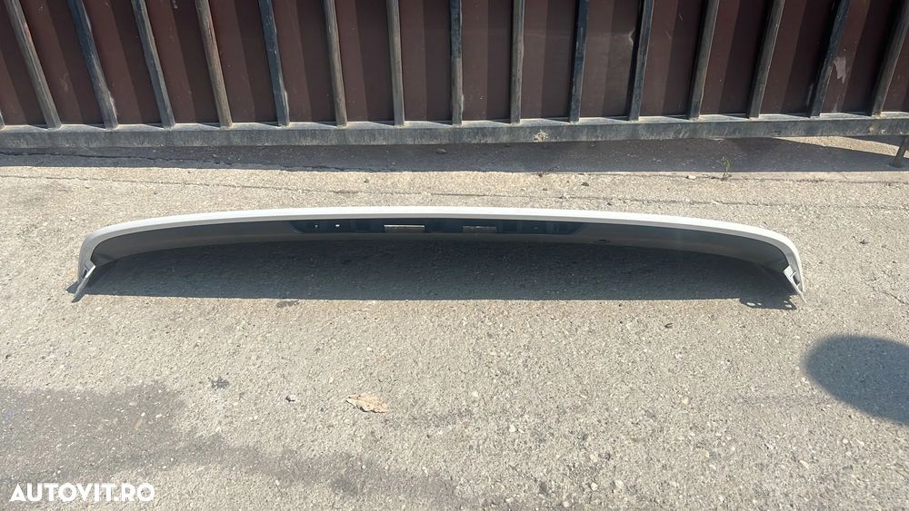 ORNAMENT HAION CAPTURE - 4