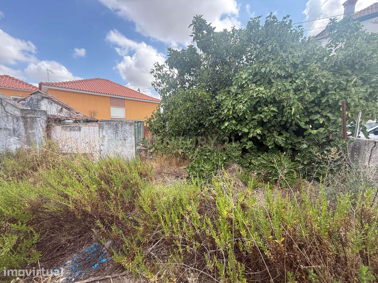 Terreno com ruína em Quinta do Anjo, Palmela - Oportunidade Única - Grande imagem: 5/6