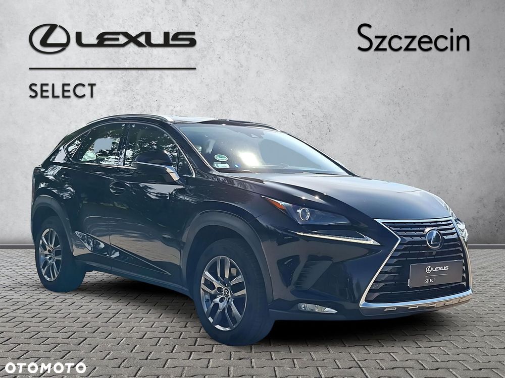 Lexus NX 300h Business Edition AWD - 7