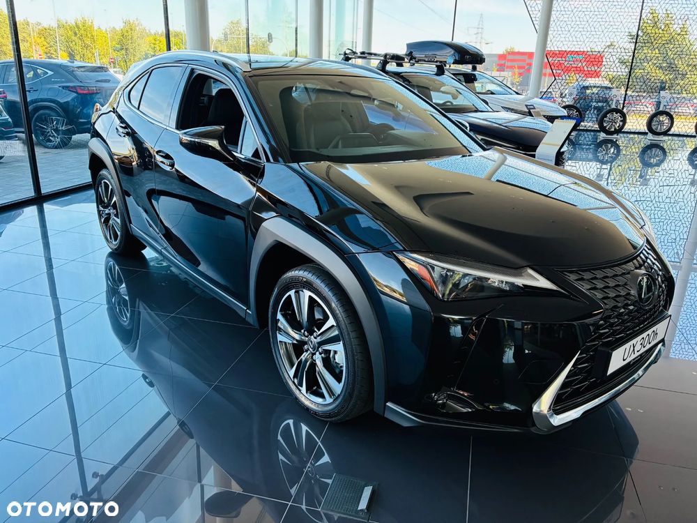 Lexus UX 300h Business - 2