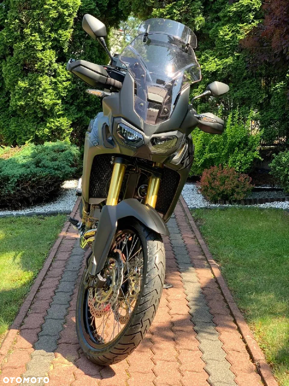 Honda CRF - 10