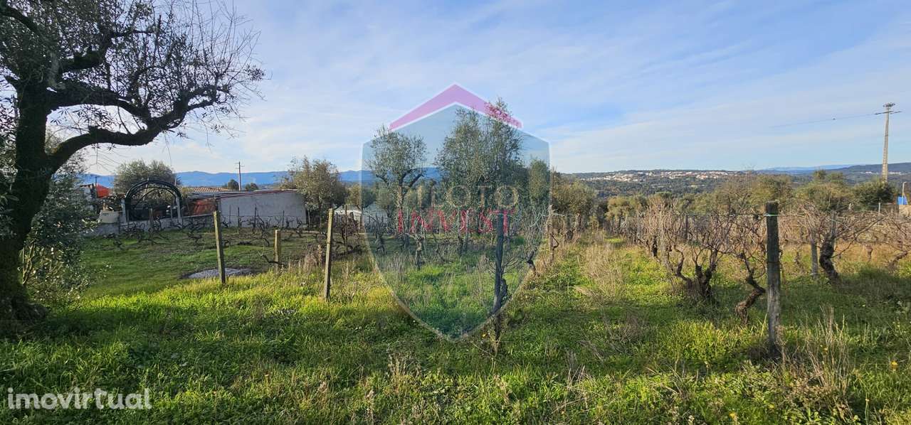 Terreno Para Construção  Venda em Silgueiros,Viseu - Grande imagem: 4/13