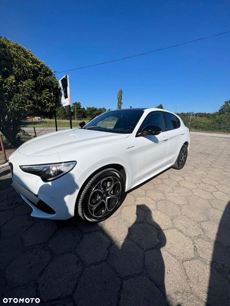 Alfa Romeo Stelvio 2.0 Turbo Veloce Q4 - 1