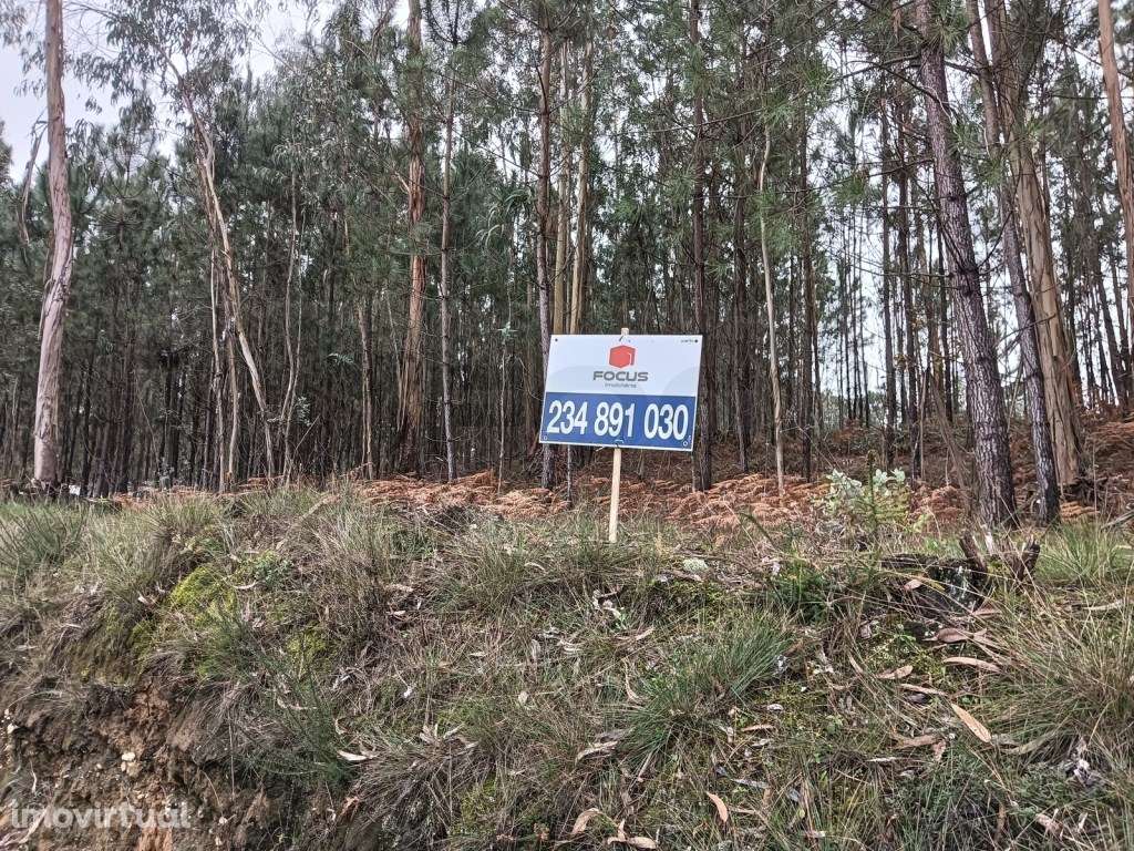 Terreno com 90 m de frente - Aveiro - Grande imagem: 5/21