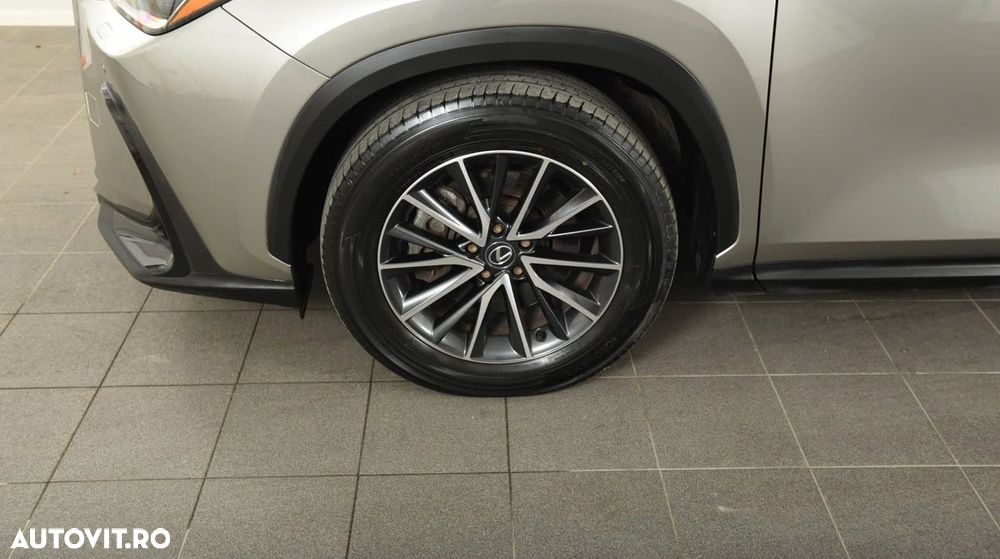 Lexus Seria NX 450h+ AWD CVT PHEV Executive - 7