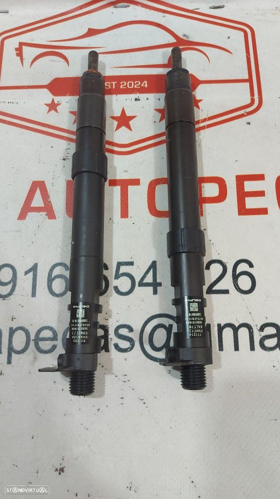 Injetores Delphi Motor RH02 2.0 HDI 165CV 9686191080 Original - 3