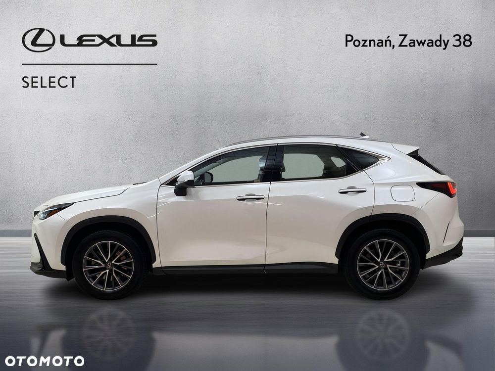 Lexus NX - 5