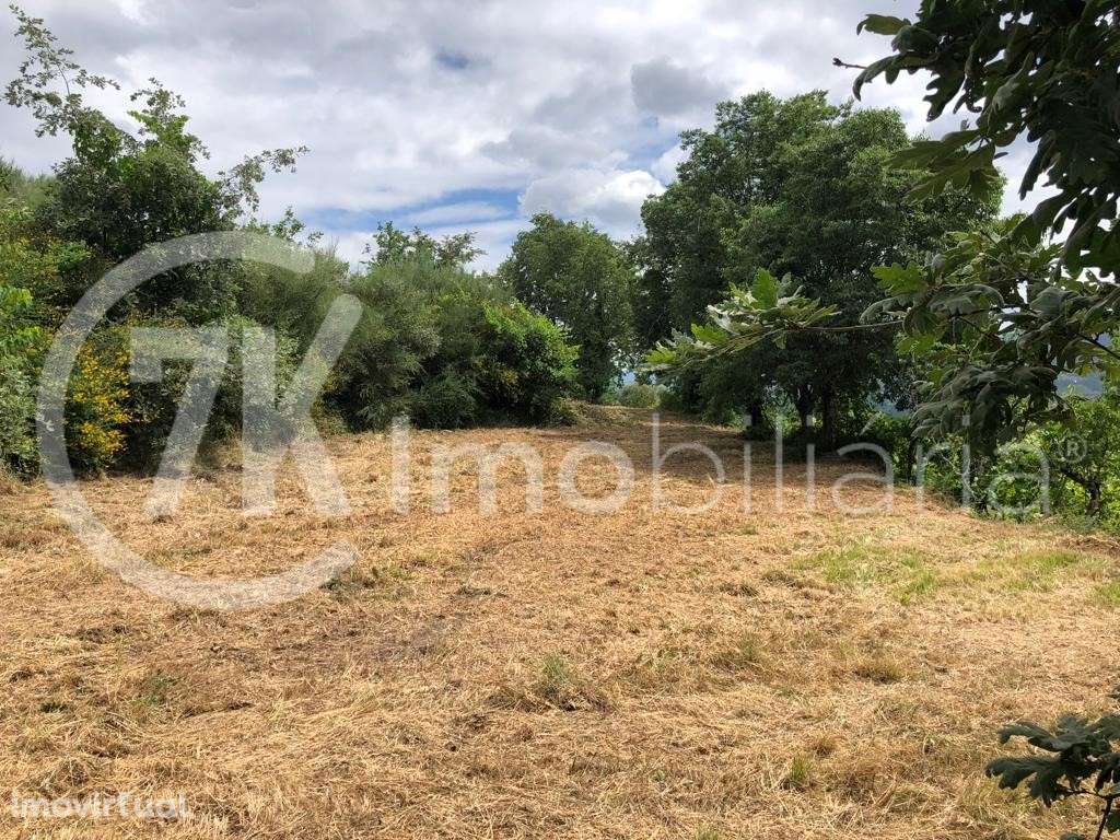 Terreno na Légua - Grande imagem: 3/13