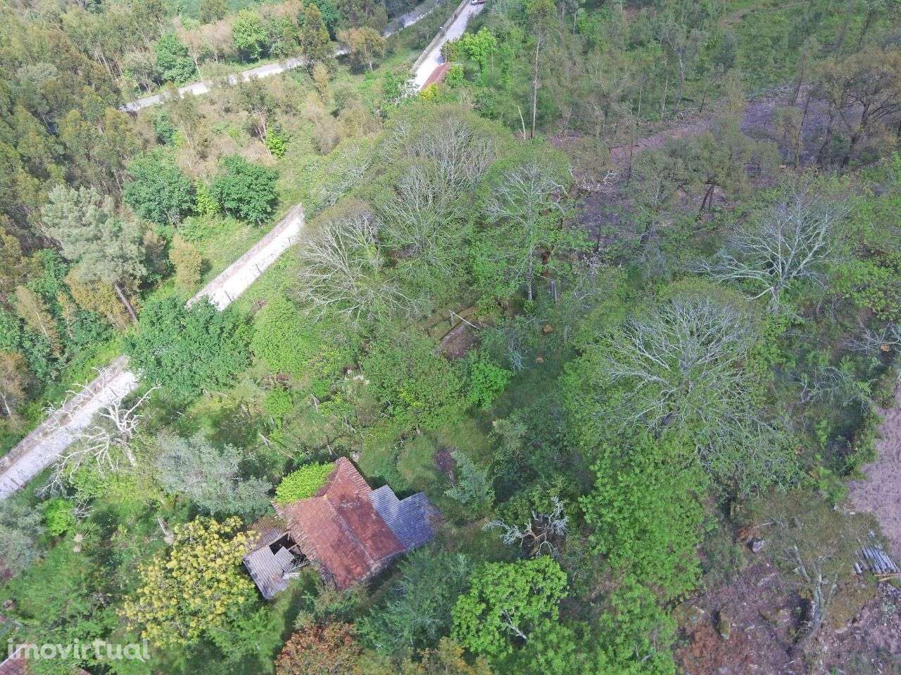 Terreno com ruína em Guimarei - Grande imagem: 3/8