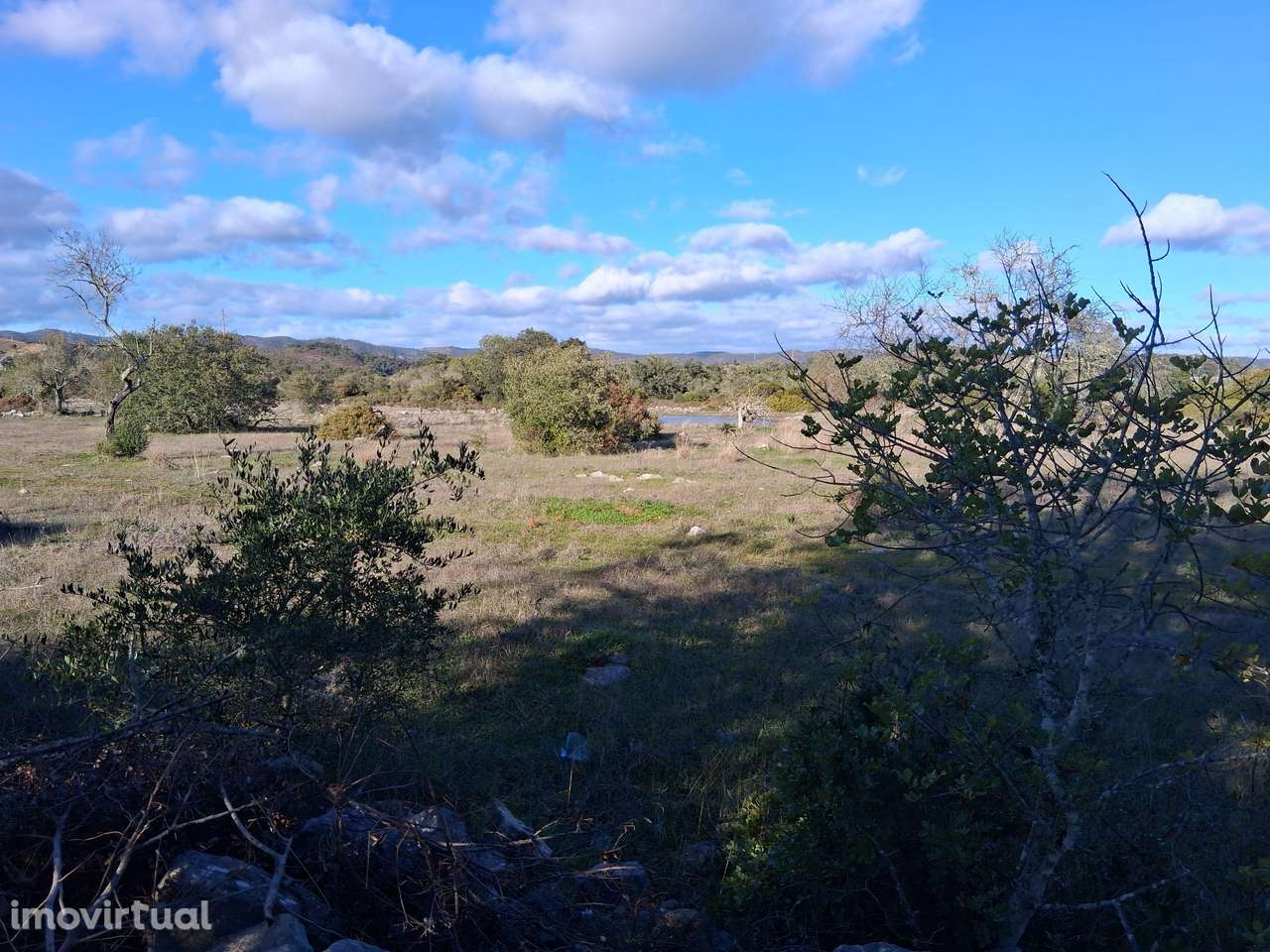 Terreno Rústico nas Almargens. - Grande imagem: 2/7