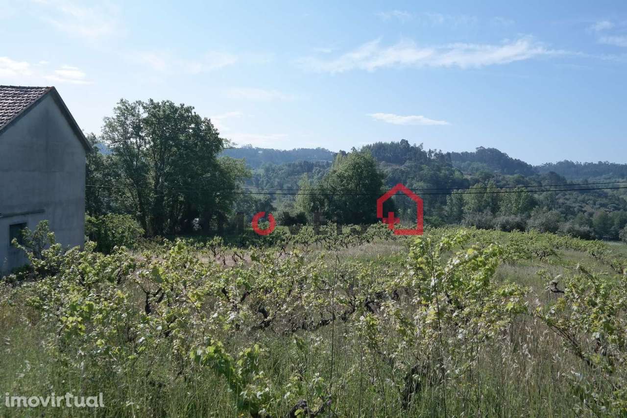 Terreno - Grande imagem: 2/2