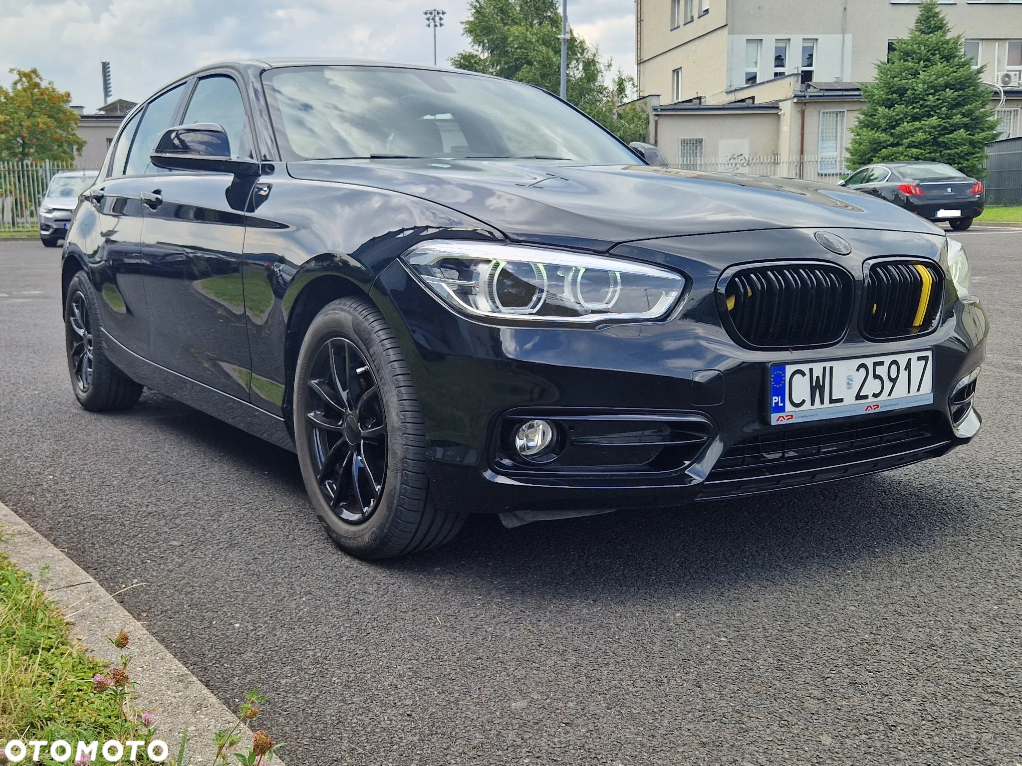 BMW Seria 1 116i Advantage - 2