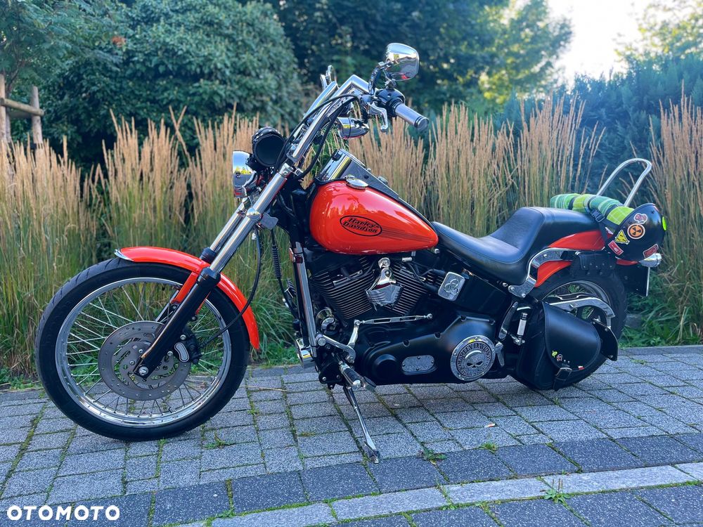 Harley-Davidson Softail Standard - 11