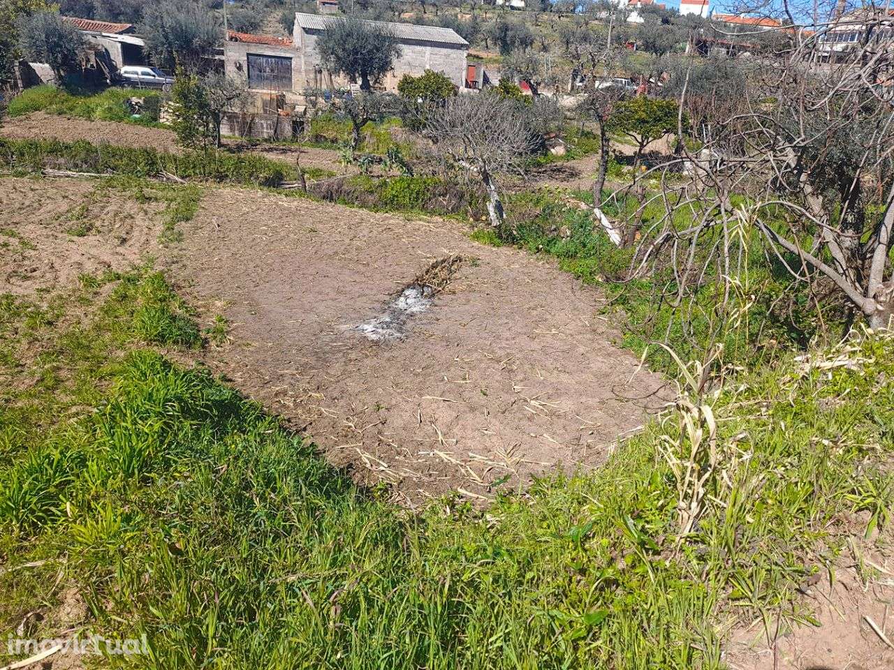 Quintinha - Grande imagem: 5/8