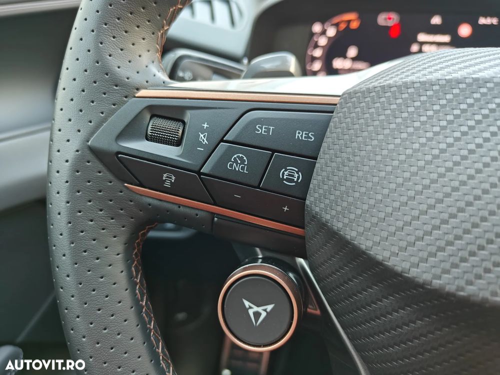 Cupra Terramar - 10