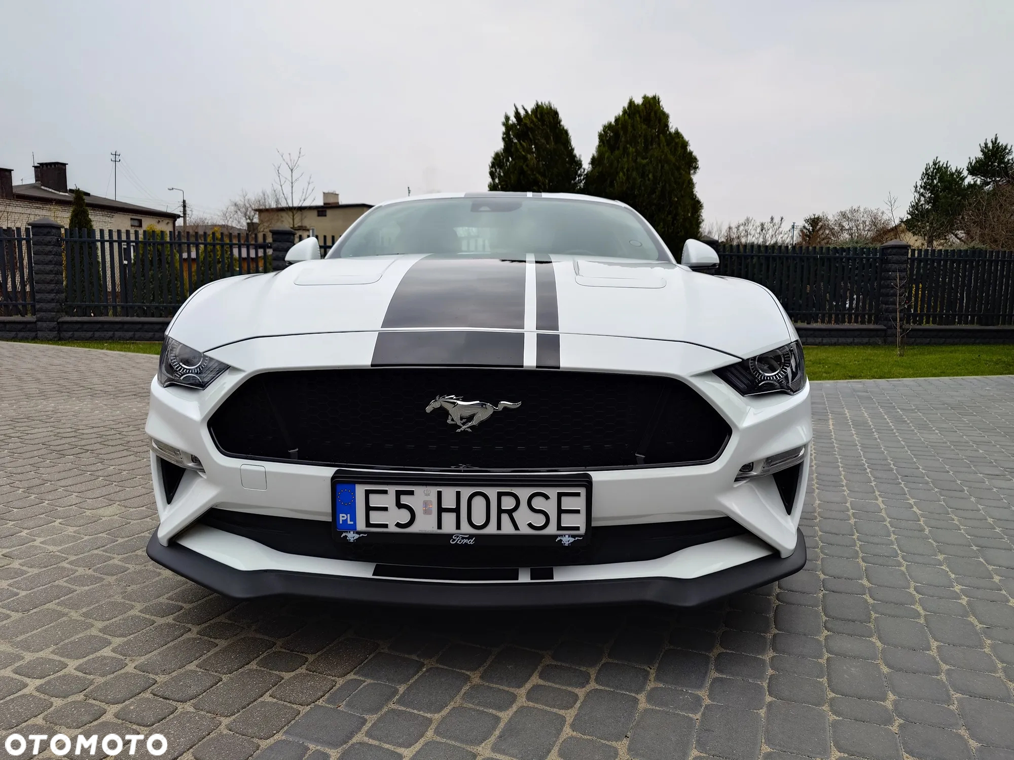 Ford Mustang 5.0 V8 GT - 9