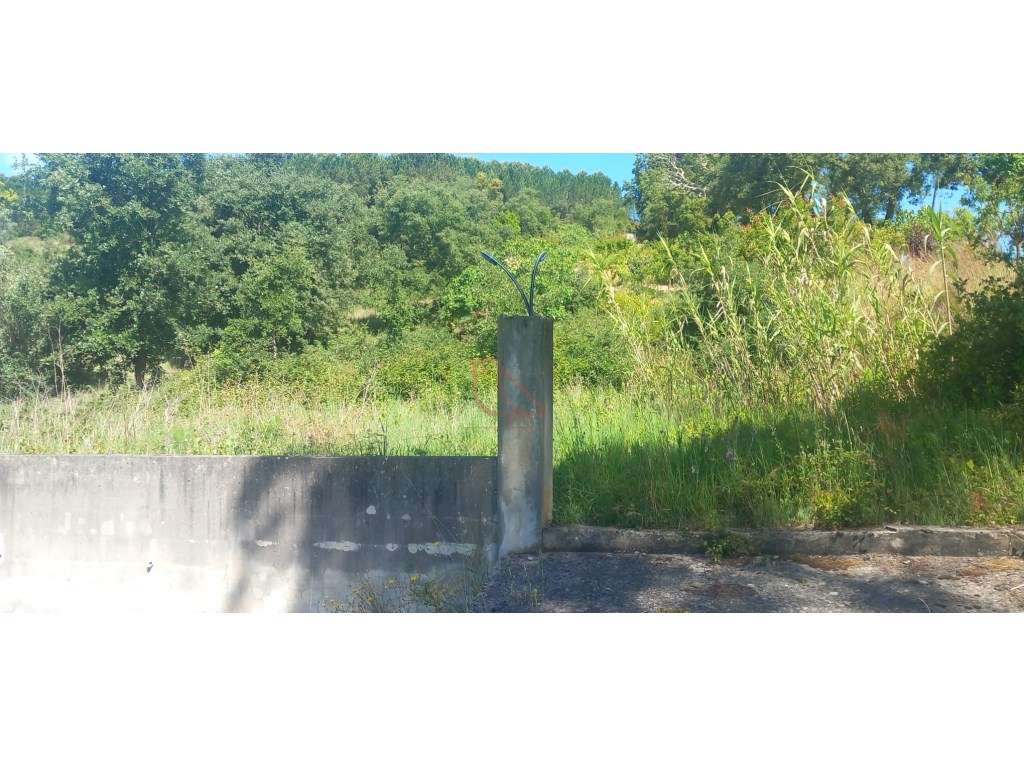 Terreno /Construção/Ourém - Grande imagem: 4/5