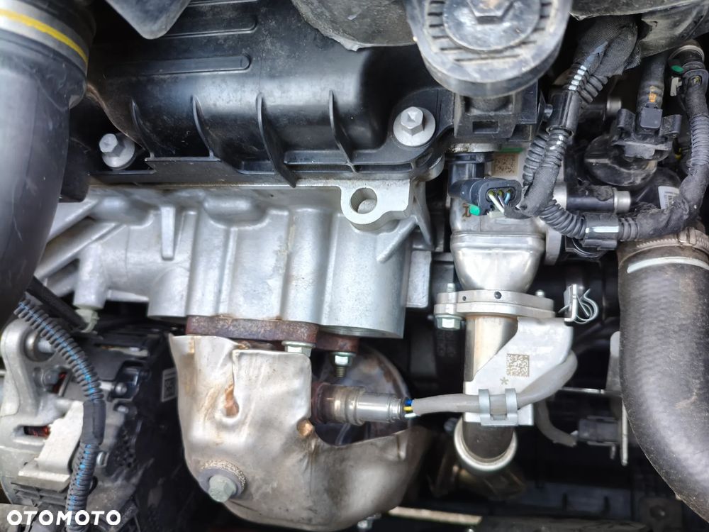 Fiat Panda 1.0 Hybrid Cross - 19