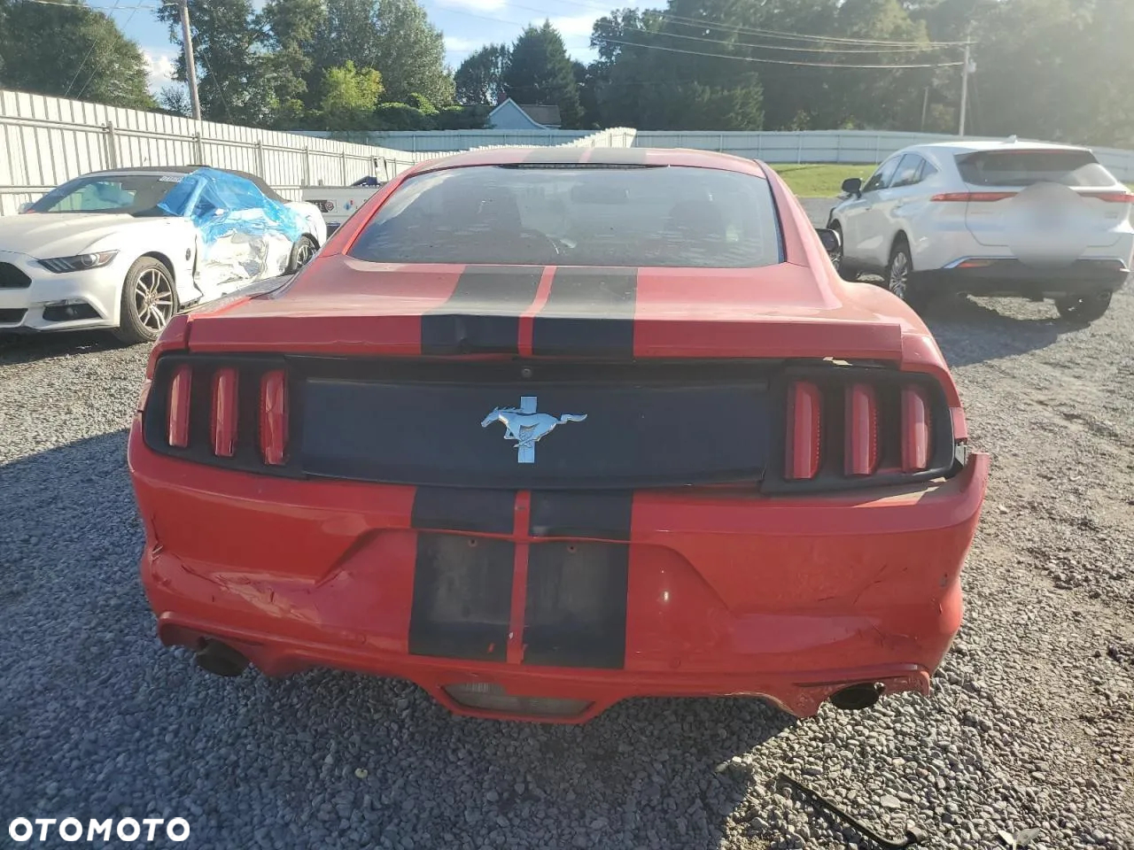 Ford Mustang - 6