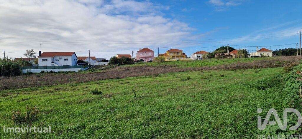 Terreno para construção em Malveira e São Miguel de Alcainça - Grande imagem: 4/13
