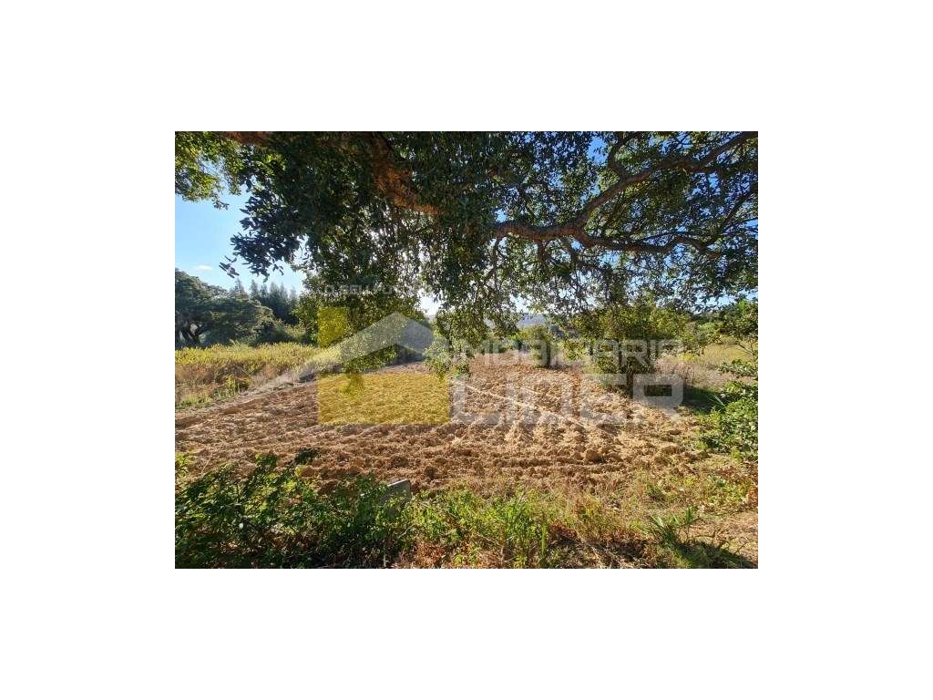 Terreno Rústico com 800m2 na Vila Franca do Rosario, Mafra - Grande imagem: 4/20