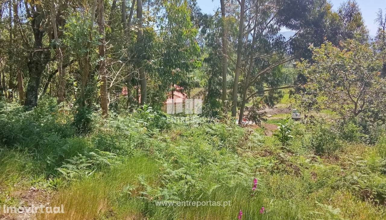 Terreno para venda, Gandra, Valença - Grande imagem: 4/5