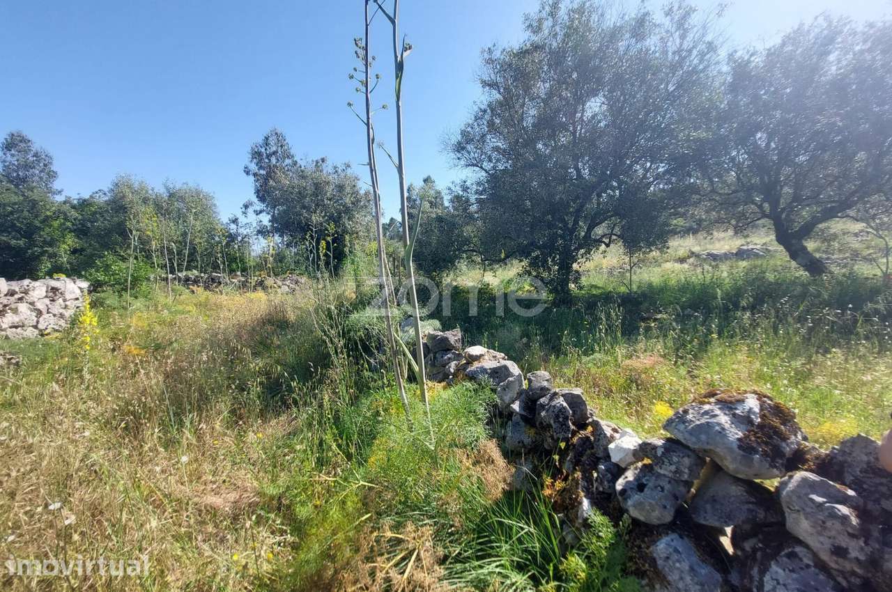 Terreno com 2500m2 a 10m de Fátima e 15 m da Batalha - Grande imagem: 5/18