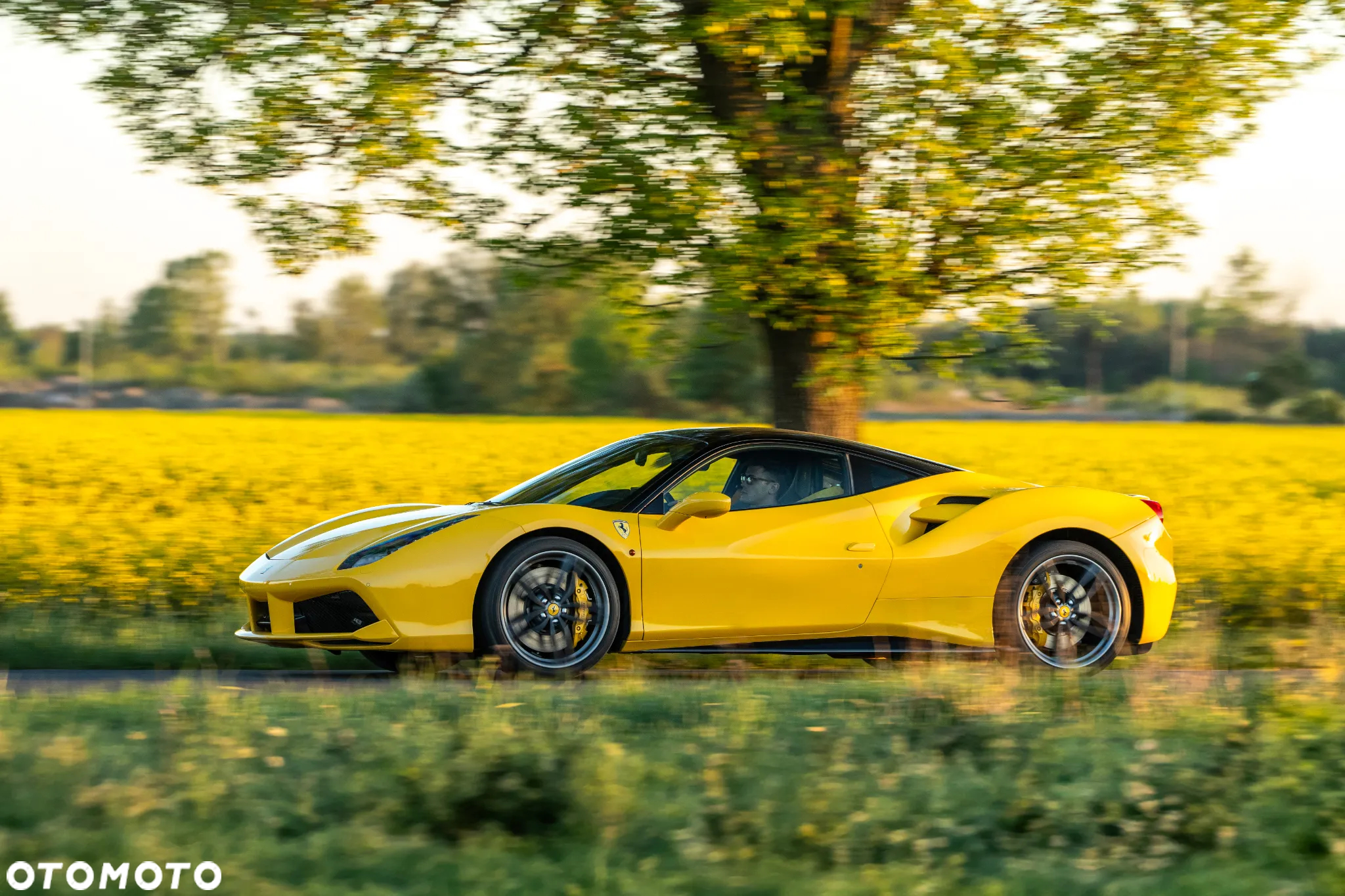 Ferrari 488 - 29