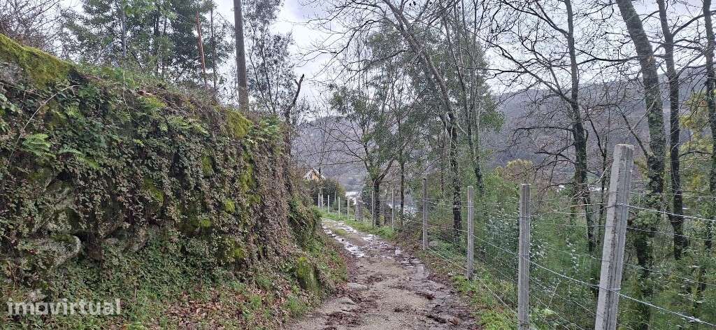 Terreno  Agrícola  Ecológico - Valdosende - Grande imagem: 4/26